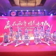 專業(yè)攝像服務，為深圳演出公司打造精彩視覺盛宴